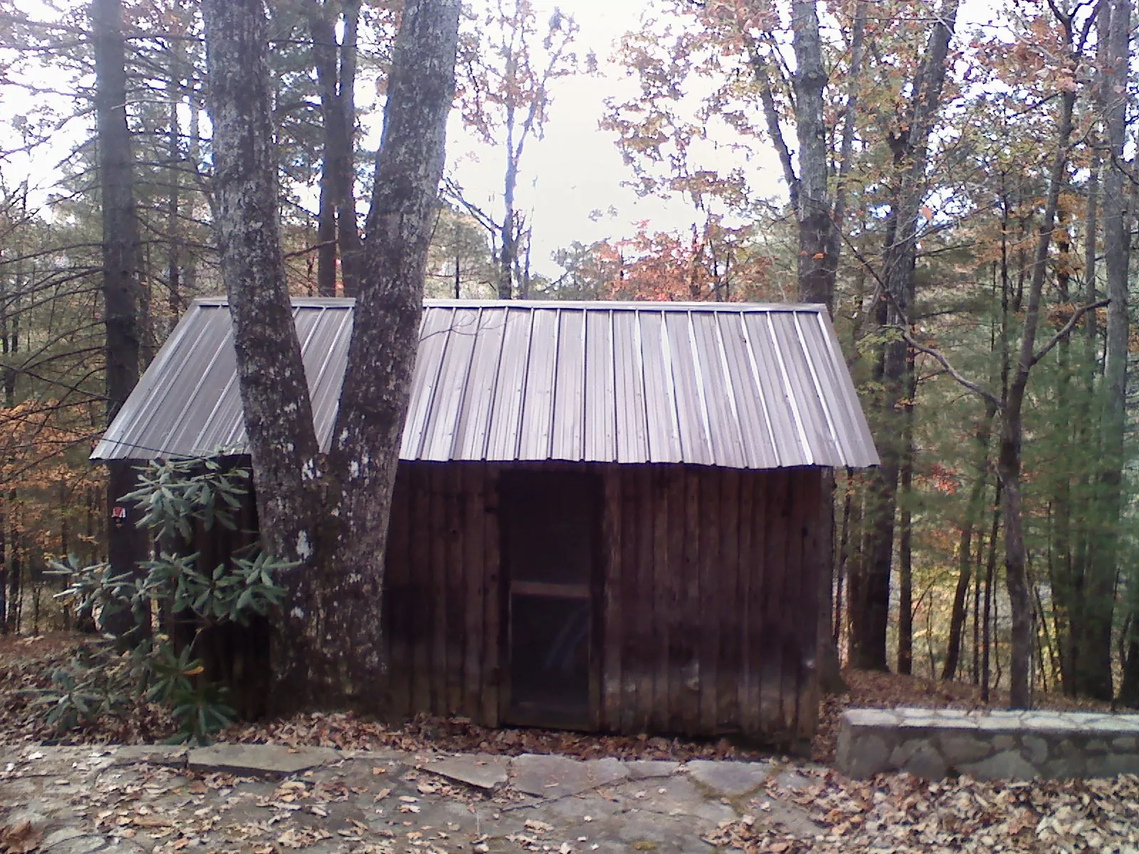 New metal gable roof on a small log shed among the trees in Wheeler