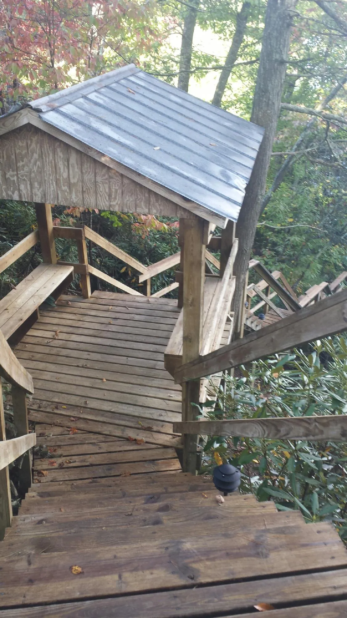 Metal roofed shelter over wooden steps on a wooded walkway — Skylight Repair & Installation work by our crew in Wheeler
